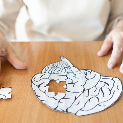 dementia-Physical-Therapy-Delray-beach-Fort-Lauderdale-FL-Dr.Physio-Therapy-and-Wellness