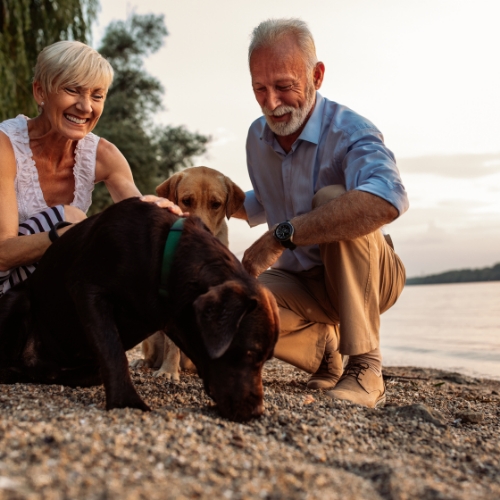 knee-pain-relief-Physical-Therapy-Delray-beach-Fort-Lauderdale-FL-Dr.Physio-Therapy-and-Wellness